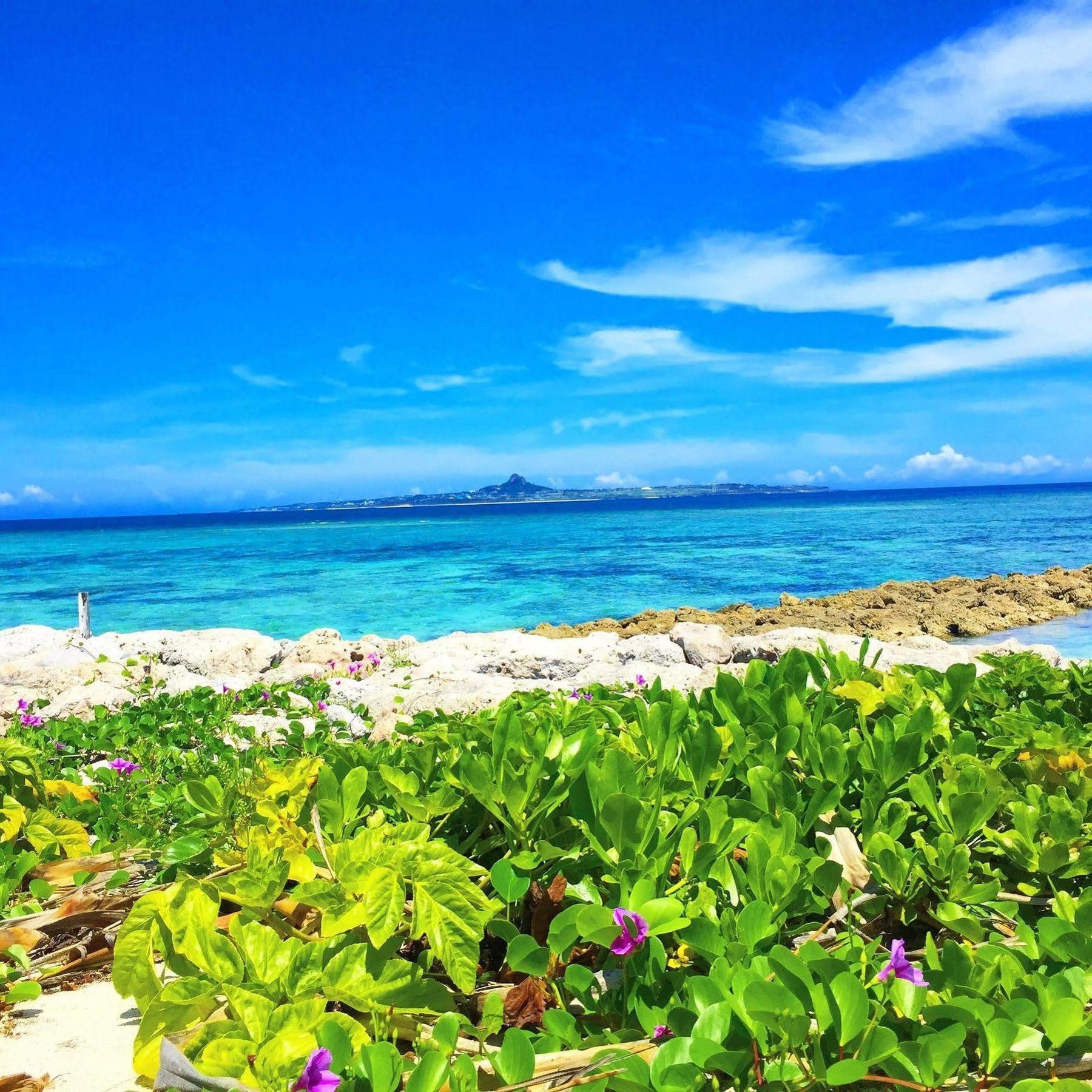 Guesthouse Seagull Village โมโตบุ ภายนอก รูปภาพ