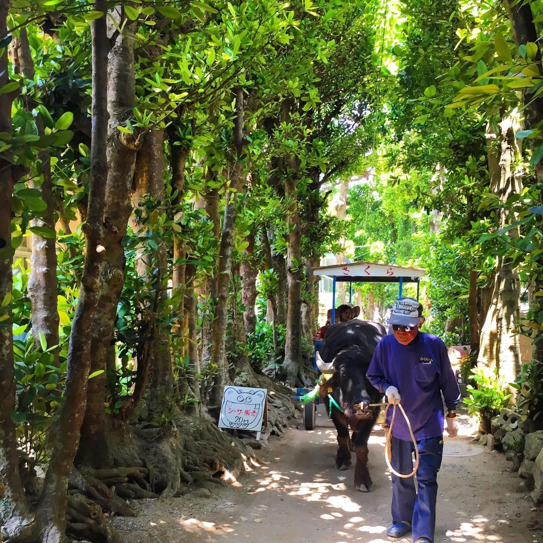 Guesthouse Seagull Village โมโตบุ ภายนอก รูปภาพ