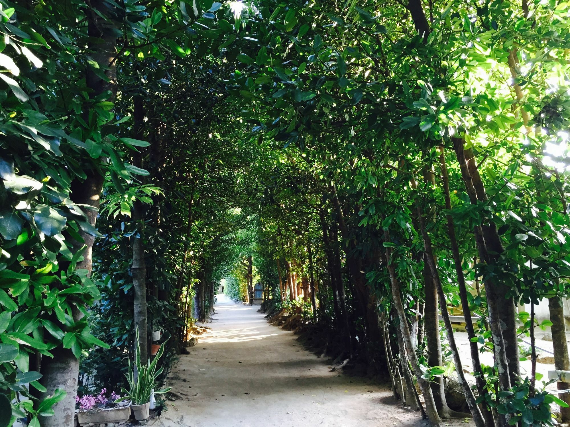 Guesthouse Seagull Village โมโตบุ ภายนอก รูปภาพ